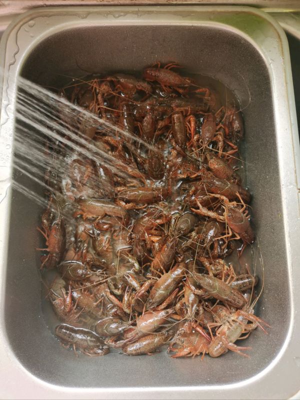 蒜蓉咖喱小龙虾