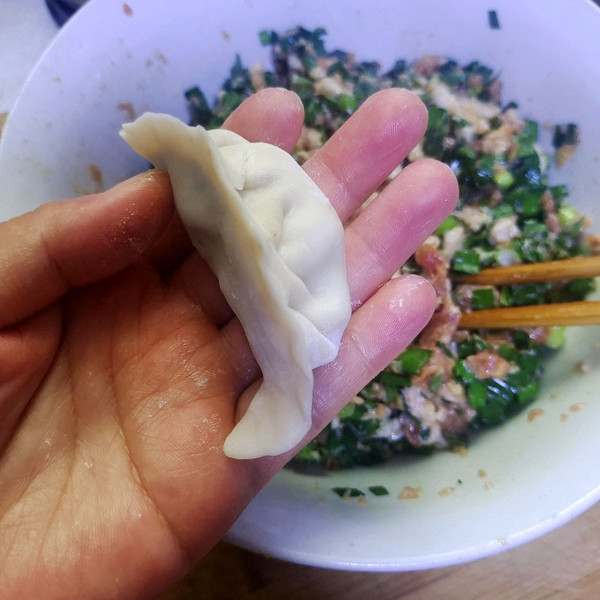 韭菜猪肉馅饺子