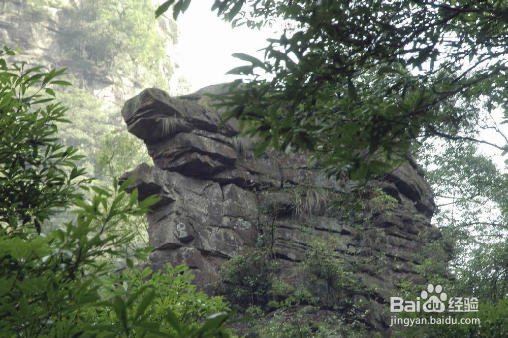 张家界到凤凰旅游怎么去比较好