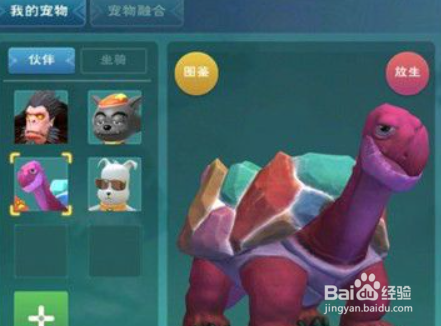 创造与魔法彩壳龟位置分布图攻略