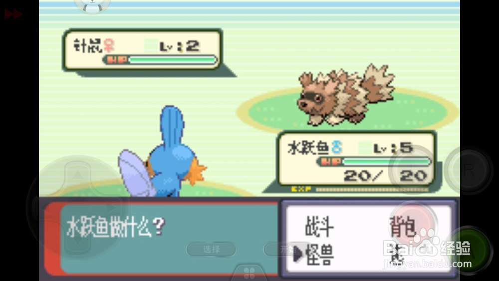 口袋妖怪绿宝石初始精灵水跃鱼性格选择。