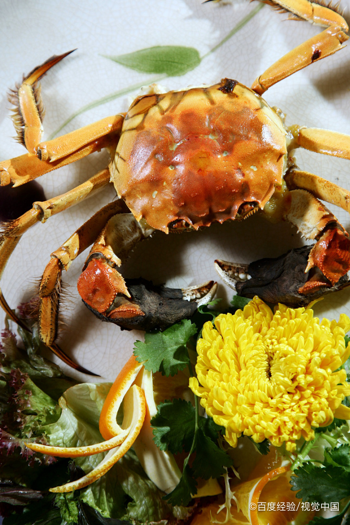 花蟹怎么挑选