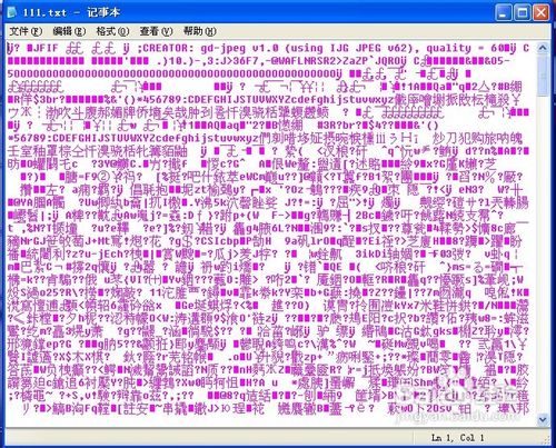 更改文件格式来隐藏重要文件