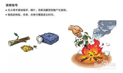 地震时你正好在山林中玩耍时怎么办?