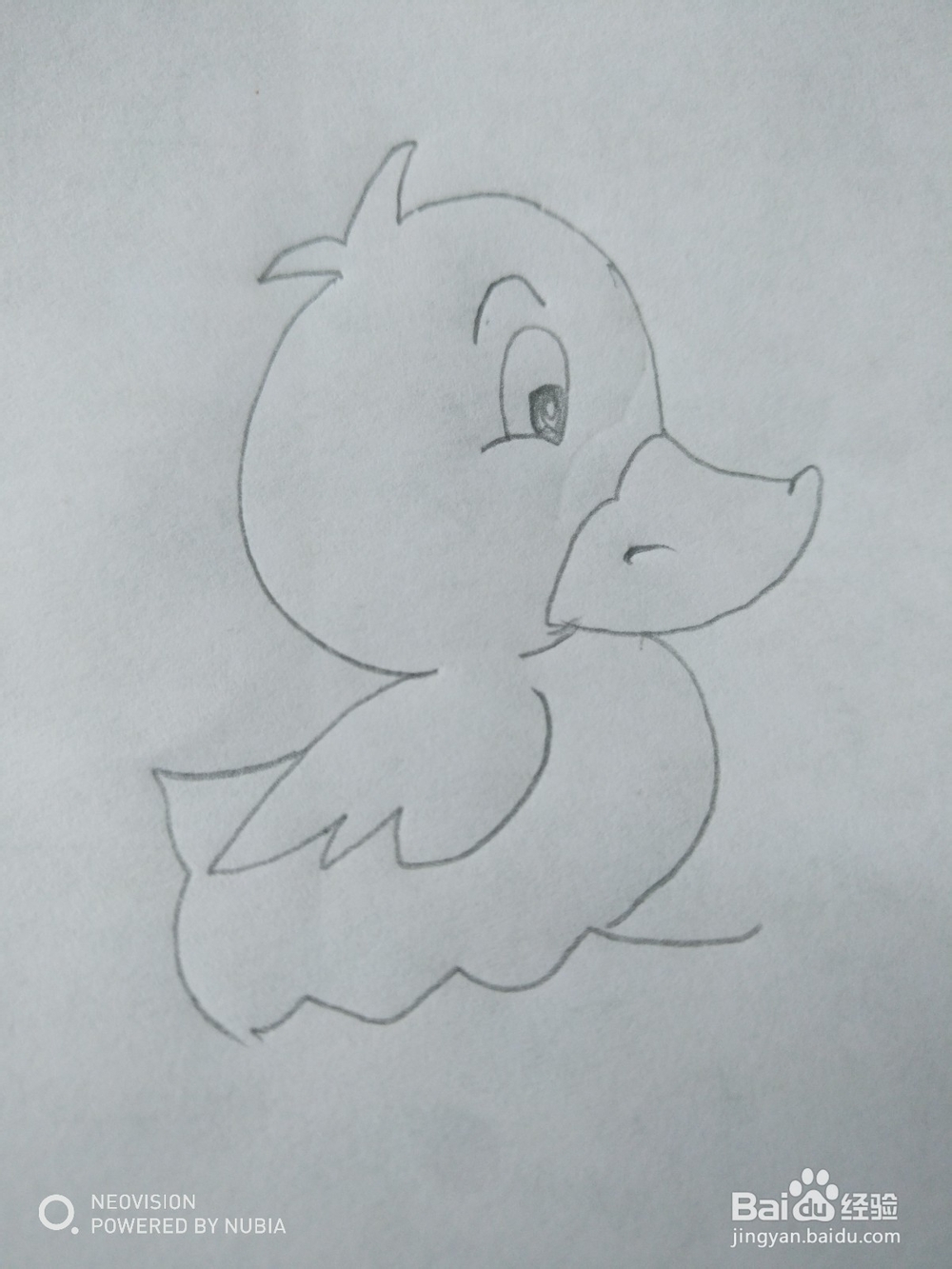 小萌鸭怎么画