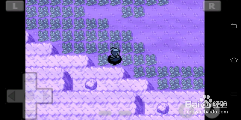 口袋妖怪绿宝石灯笼鱼怎样获得