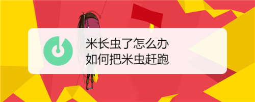 米长虫了怎么办如何把米虫赶跑