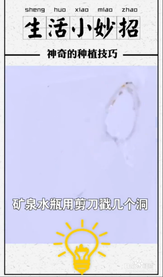 植物种植小技巧