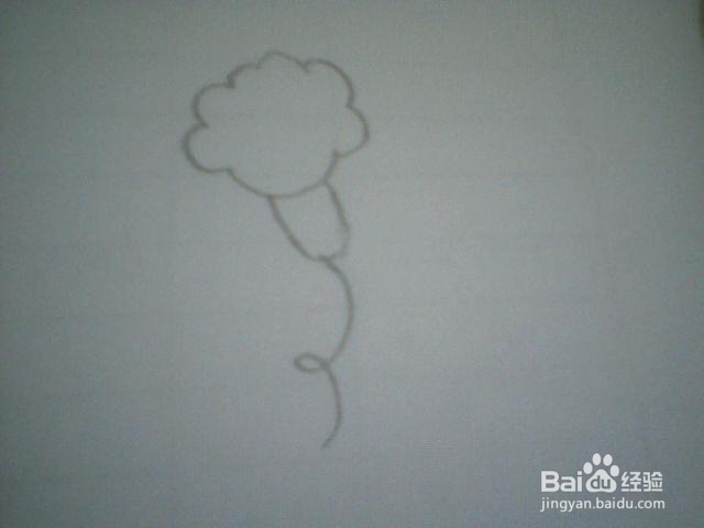 简笔画喇叭花：