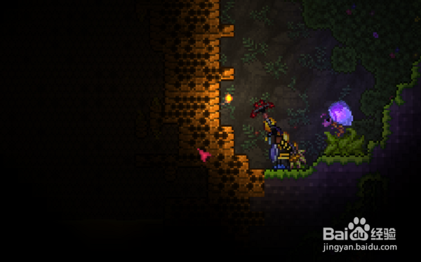 泰拉瑞亚如何快速获得蜂蜜块和蜂蜜瓶