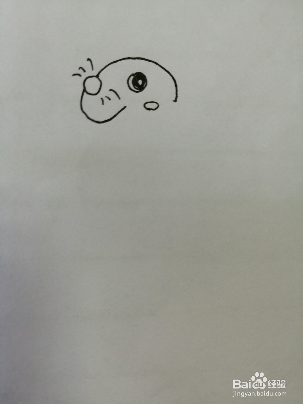 萌萌的小海豹怎么画