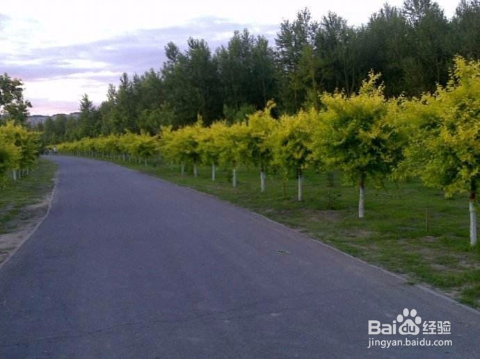 面对倒春寒我们应该怎样处理?