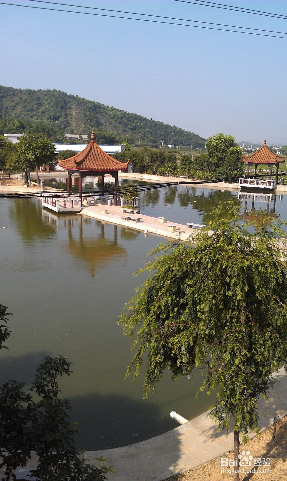 百元游长沙攻略