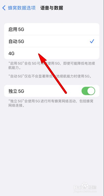 iphone13怎么关闭5G