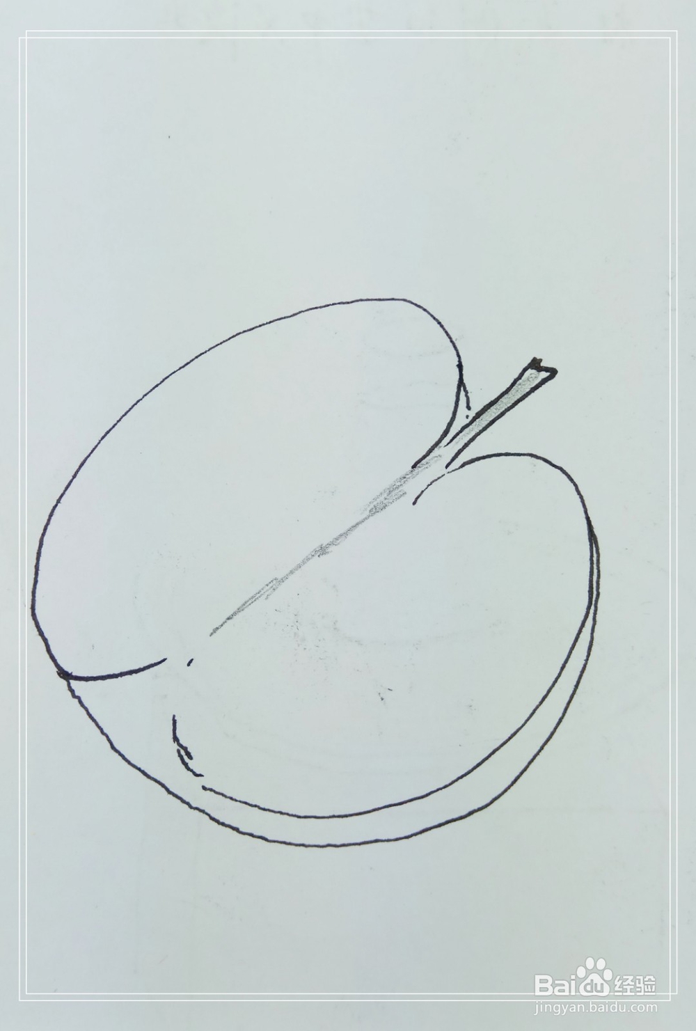 怎样画简笔画“半个苹果”？