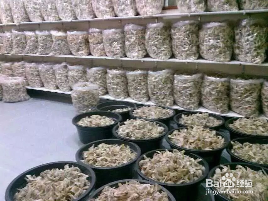燕窝的保存方法与步骤