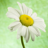 高楼火灾怎么办