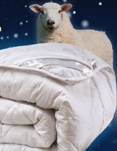 不同的被子应该怎么放菌除味?