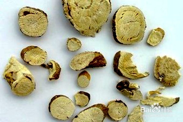 怎样使用苦参-----中药的使用。