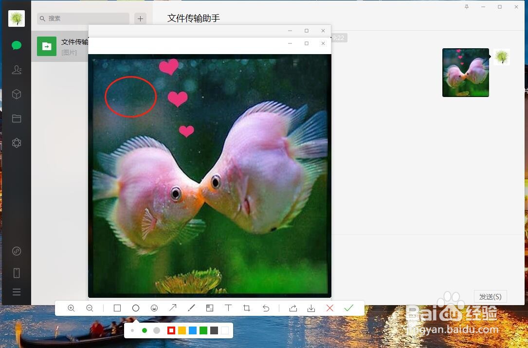 电脑微信如何对图片进行椭圆形标注