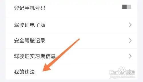 交管12123查询违法记录