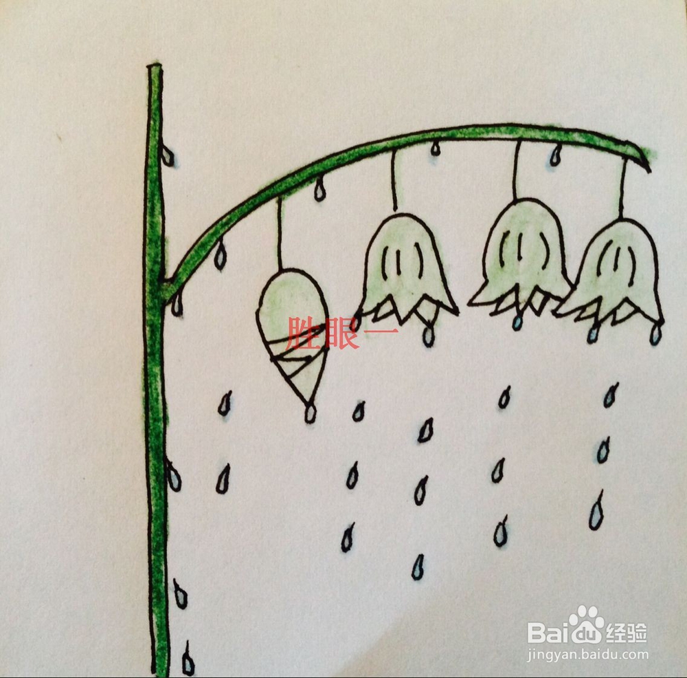 怎样画蝴蝶兰和铃兰花呢“雨后铃兰彩虹”