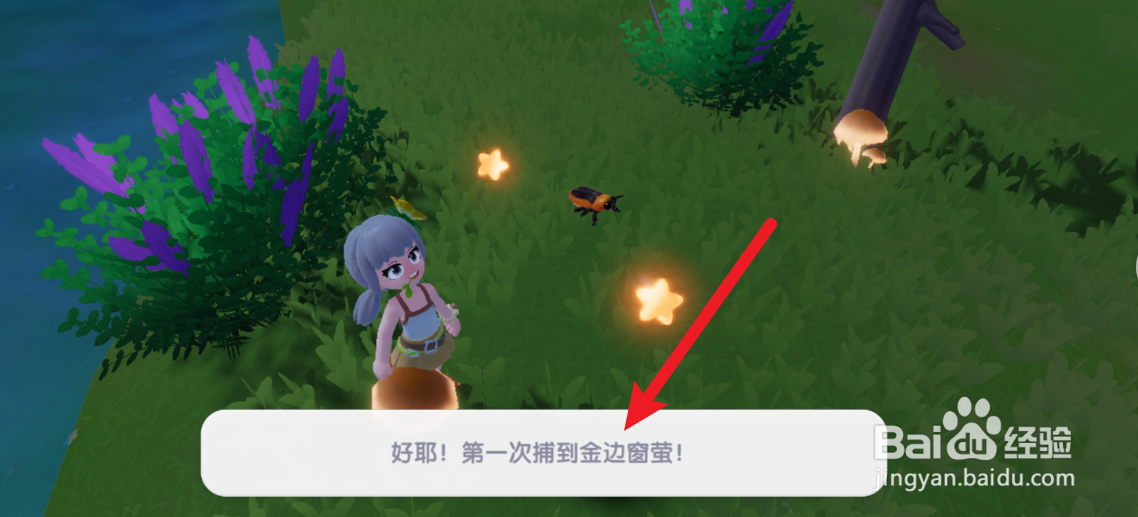心动小镇金边窗萤捕捉位置攻略