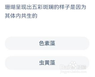 珊瑚呈现出五彩斑斓的样子是因为其体内共生的
