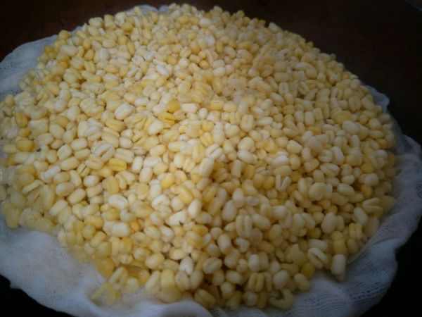 夏日必备绿豆糕