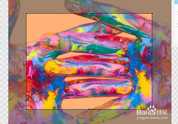 如何在图丫丫软件中裁剪图像？