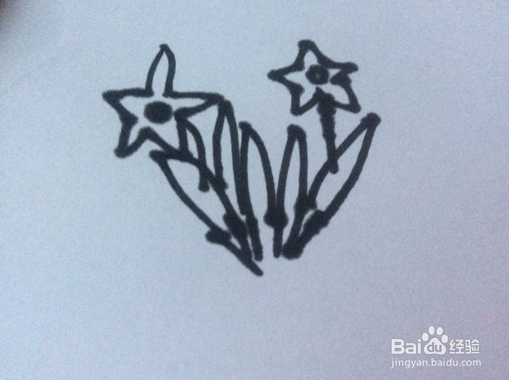 水仙花的简笔画怎么画？怎么画水仙花的呢？