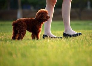 永久祛痘，只需五步。