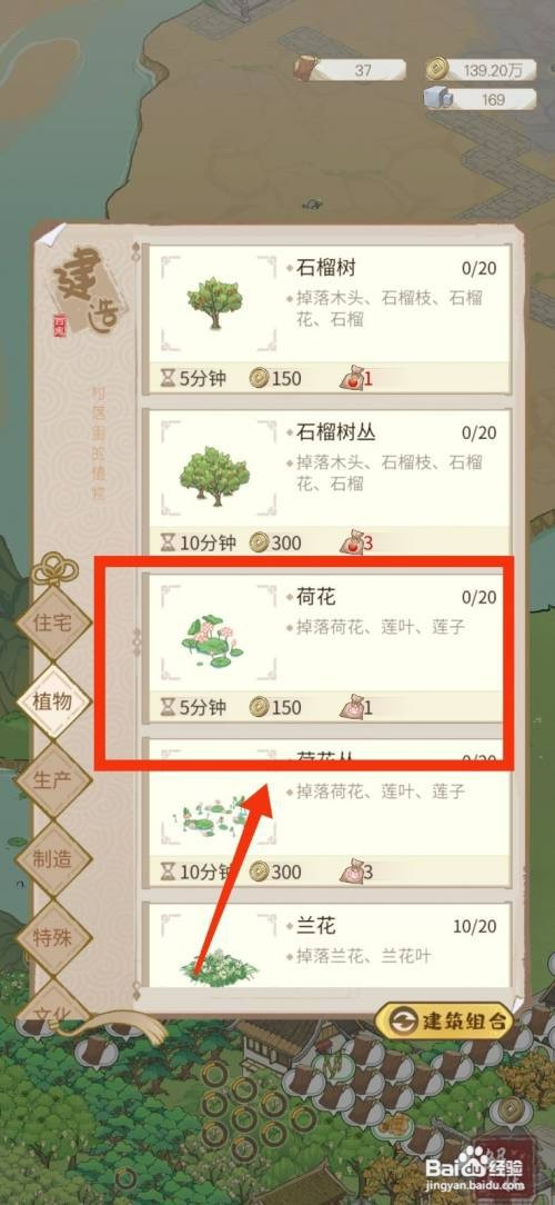 解忧小村落如何种植荷花