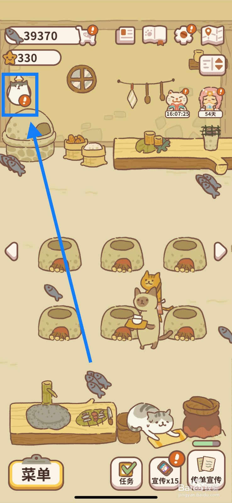 动物餐厅如何在花园培育小雏菊？