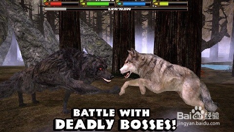 终极灰狼模拟2遇到狼群怎么办