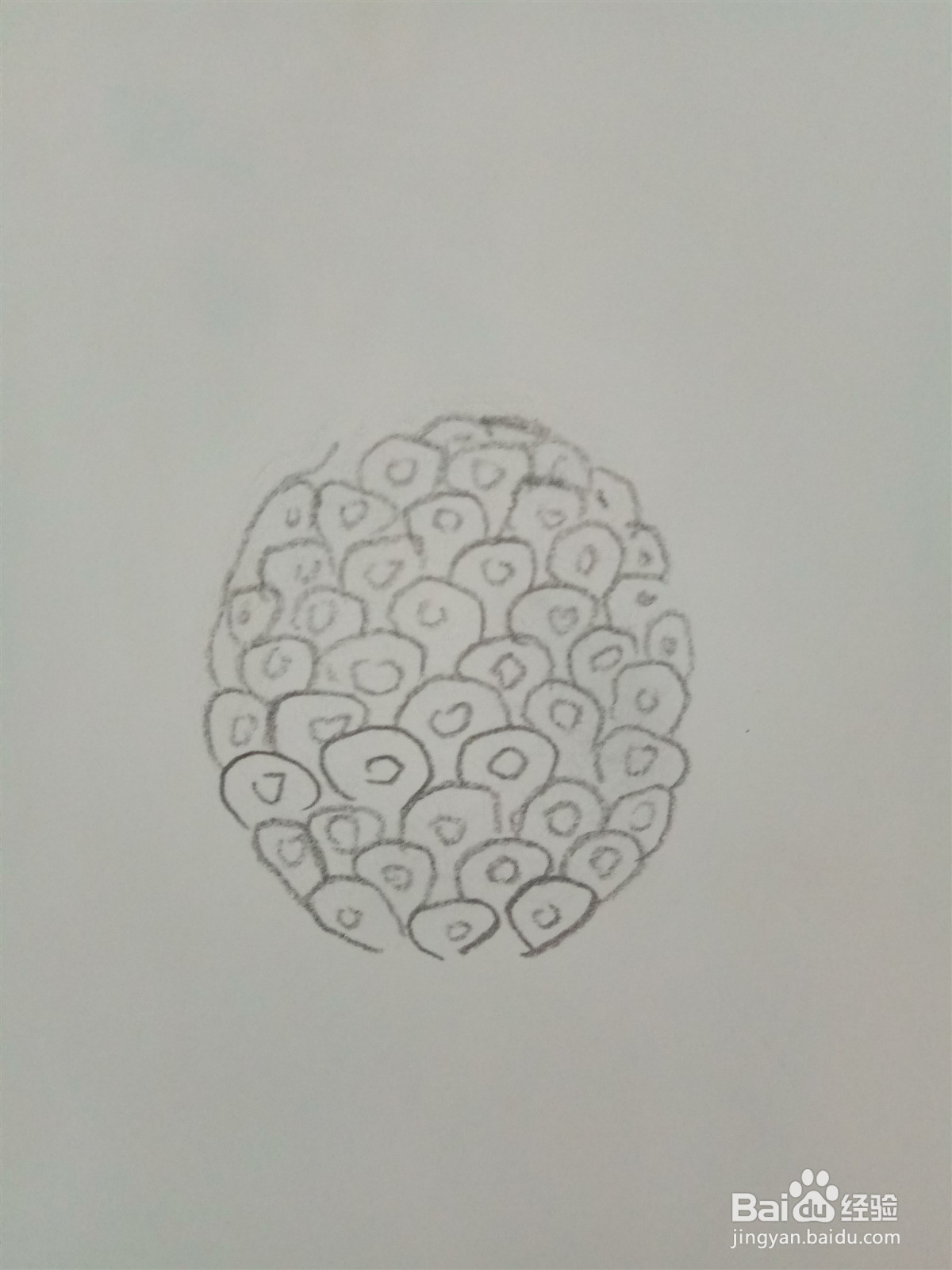 菠萝怎么画简单写实