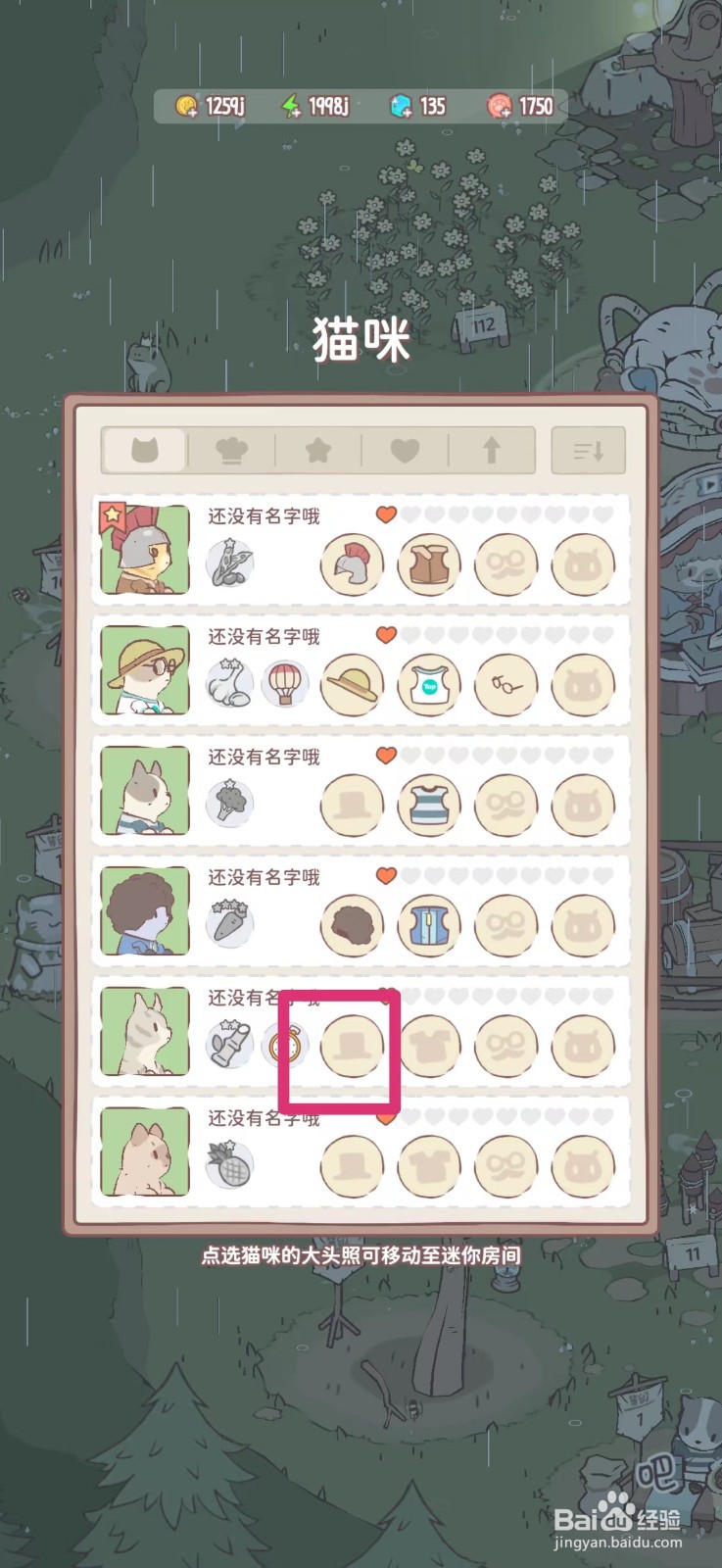 猫咪和汤如何给猫咪戴施工帽