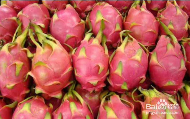 怎么选火龙果?经济又实惠