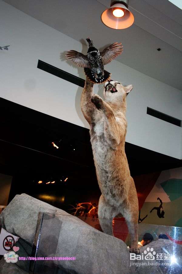 畅游温哥华科技馆(组图)