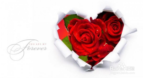 普吉岛旅游婚纱照，结婚花语，细说浪漫