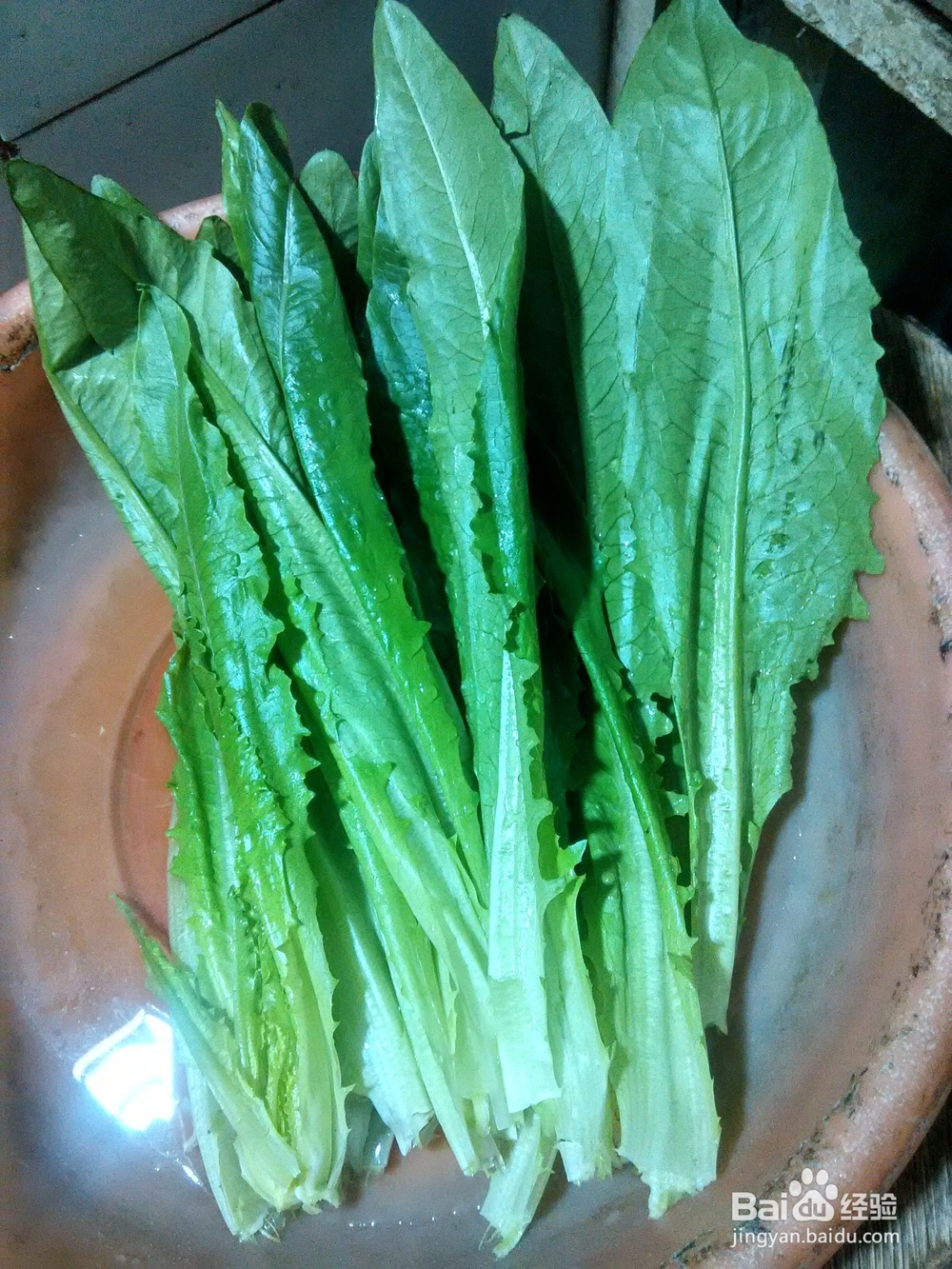 油麦菜拌阿波罗
