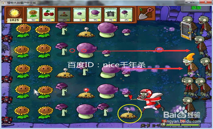 植物大战僵尸入门篇2-7(胆小菇)