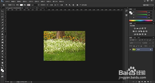 PS如何用鼠标滚轮缩放及其快捷键和设置方法