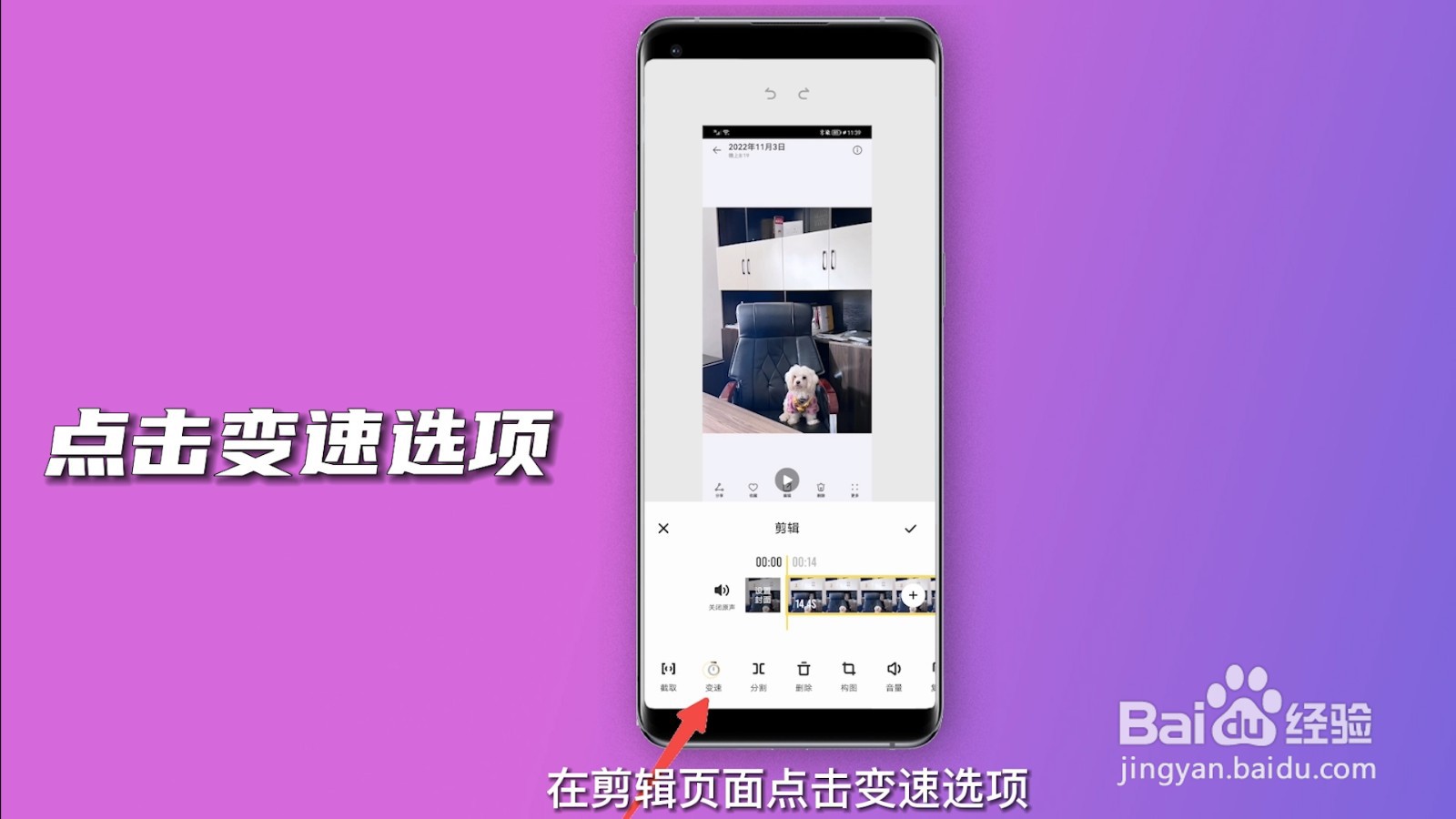 视频倍速怎么弄