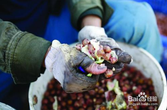 剥石榴手黑怎么办