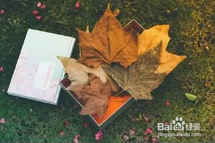 如何表达“礼物不在于贵重”