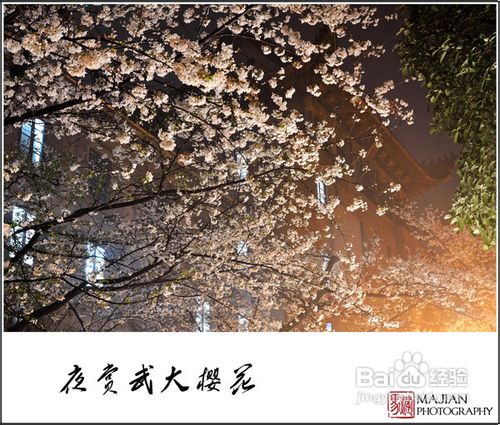 历史名校武汉大学赏樱游记攻略