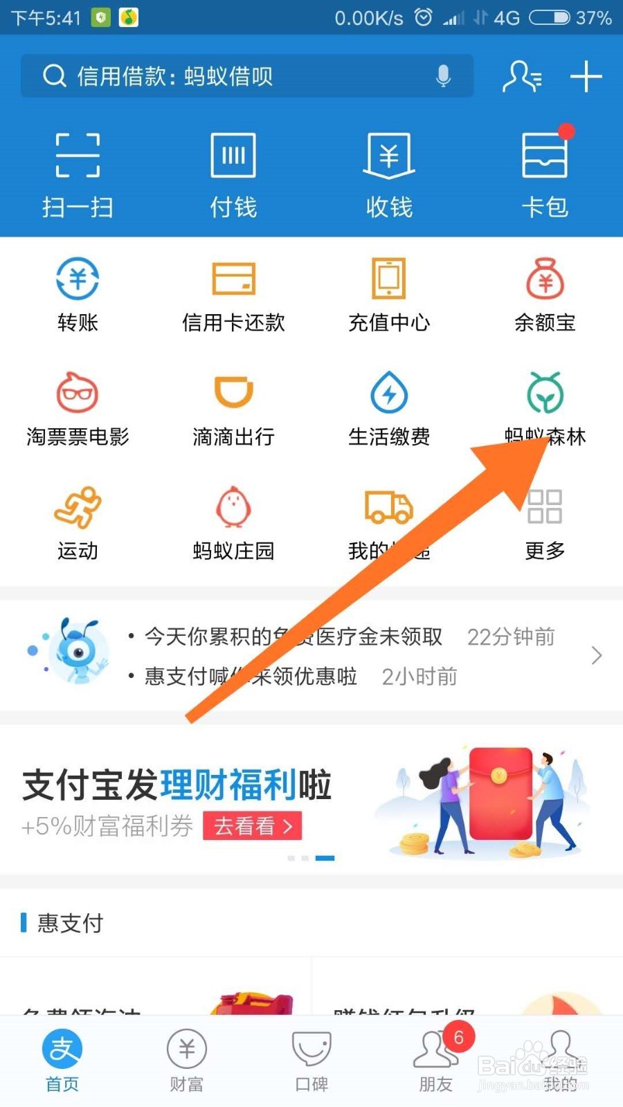 怎么玩转蚂蚁森林