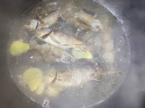如何做好吃又有营养的鲫鱼汤