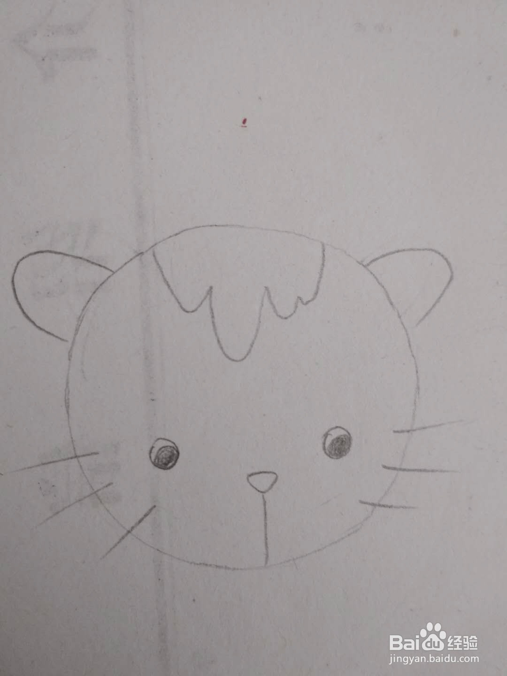 多妈简笔画小动物一只简单的小猫